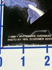 Poster 1988 Whitesnake David Coverdale 24 x35  Original Vintage 