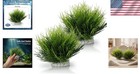 Natural Style Fish Tank Plants - Ideal For Freshwater And Saltwater Tanks