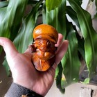 S   yanik Hand   carved Meerschaum Pipe  Popeye Smoking Pipe With Case