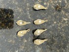 Lot Of  6  Tiny Antique Nautical Brass Pulleys For Model Ship Rigging
