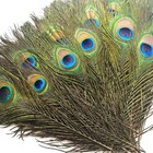 50 Pcs Peacock Feathers In Bulk 10-12 Inch25-30 Cm Bulk For Diy Craft  Craft    