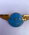 Vtg Pan Am Airlines Jr Clipper Stewardess Flight Attendant Metal Wings Pin Badge