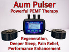 Pemf Therapy Aum Pulser  earthpulse  Dual Coil Deeper Sleep And Regeneration