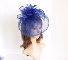 Jumbo Church Derby Wedding Feather Floral Sinamay Fascinator Royal Blue 511