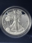 2021-w Type 1  1 1oz Proof American Silver Eagle W ogp   Coa