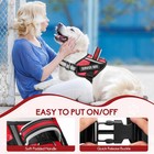 Service Dog Vest Harness And Leash Set  In Training Dog Harness With 10 Dog P   