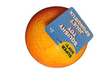 Super Soft Squishy Toy Orange - New