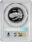 2026-w  100 American Platinum Eagle Pr69dcam First Day Of Issue Pcgs