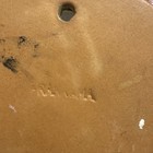 Frankoma  190 Acorn Wall Pocket  Desert Gold  5 5   x4 5     