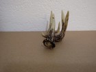 Resin Deer Antler Business Card Holder