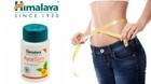 Himalaya Ayurslim 5 Box 300 Capsules Bio Wellness Fat Burner 