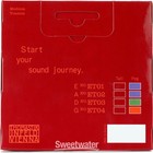 Thomastik-infeld Evertone Violin String Set - 4 4 Size