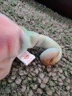 Ty Beanie Baby - Rainbow The Chameleon  tie Died   9 Inch  - Mwmts Stuffed Toy