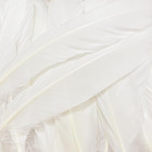 White Feathers natural Big Long Goose Feather 8-10 Inches  20-25cm  large Size B