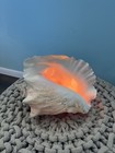 Vintage Pink Large Conch Shell Lamp Seashell Beach Decor Shabby Chic Night Light