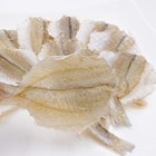Greenlike Dried Yellow Croaker Fish Barbecue Fish 500g  50-70                                 