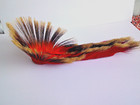 Porcupine Style Hair Roach 13 Inches Long   made Of Tampico Fiber   Red Outside