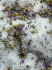 Natural Bath Salt Soak  Test Tube Bath Salts  Large Test Tube Bath Salts 65ml