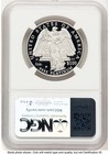 2008-w Proof Platinum Eagle 1 Oz Brown Label Ngc Pf70