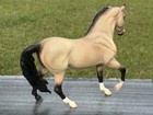 Breyer Horse 2008 Color Crazy Event Limited Run Socks Version Marabella