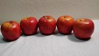 5 Red Apples Realistic Artificial Faux Fake Fruit Staging Decorative Display