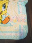 Vtg 90s Baby Looney Tunes Plush Crib Infant Blanket Pink Tweety Bird Soft 50x43