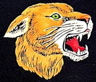 Vintage 1970s Penn State University Nittany Lions Football Pennant  Wow