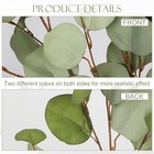 Green Eucalyptus Stems 34  Long Silver Dollar Leaves - 5 Pcs Silk Stems For D   