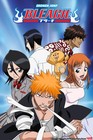 Bleach La Serie Animada En Espa  ol Latino Y Sub   Peliculas