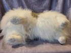 Melissa   Doug Cute Life-like Pomeranian Dog 4860 19  Plush Stuffed Animal Toy