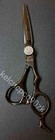 Mizutani Acro Hairdresser Black Shears Mizutani Scissors 6 0 Inch W  Flat Comb