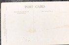 Vintage Postcard Skye Terrier Dog