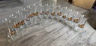 Hard Rock Cafe Hurricane Glass Set     14 Cities Collectible Glasses 