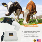 Automatic Feeder For Cows And Calves  Food Dispenser With Timer  Healthier Herd