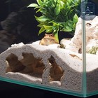 Aquarium And Terrarium 3d Print Cave-catacombs Decor  Fish  Shrimp  Reptile Hide