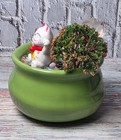Lucky Maneki Neko Cat Mini Zen Garden W  Crystals Bonsai Decor 3 5  Tall