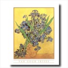 Vincent Van Gogh Irises Vase Flower Wall Picture Gold Framed Art Print