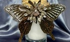 Jan Barboglio Glass Candle Holder  Butterfly   Starburst Rare