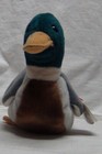 Ty Beanie Babies Jake The Drake Duck With Tycard 1997 1998 Errors 1 Owner