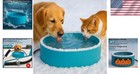 Pet Heated Bowl For Dog cat Warming Water Bowl With Chew Resistant Power Cord  O