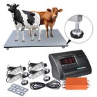 Livestock Scale Kit Cattle Hogs Pigs Squeeze Chute 10 000 Lb Capacity