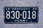 1965 Perry County Kentucky License Plate