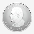 1 Oz Silver Maple Leaf Uhr Pulsating Forest Coin 2024 Canada