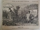 Punch Cartoon 1887 Antique Original Rare Vhtf Etch Fashion Artist Humour Outdoor