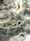 Ocean Jasper Slab Jasper Agate Lapidary Cabbing Gems Minerals Rough
