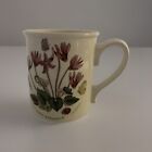 Portmeirion Botanic Garden Breakfast Mug Cyclamen Repandum Butterfly England