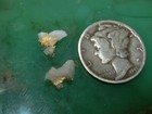 2 Gold Quartz Specimens  4 Gram California