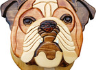 Hand Crafted Intarsia Wood English Bulldog Head Dimensional Mosaic Wall Hanging