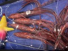 Custom Spreader Bars- Fishing