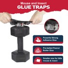 Tmouse   Insect Traps 12 Pack  Heavier Sticky Traps With Non-toxic Glue For Mice